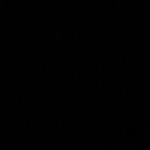 Meet your Posher, Elisa